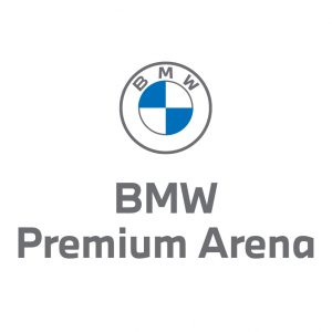 logo premium arena szare (wektor)
